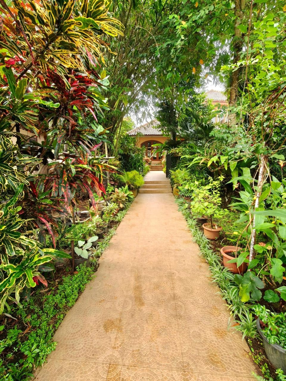 Natural landscape, Garden, Garden view