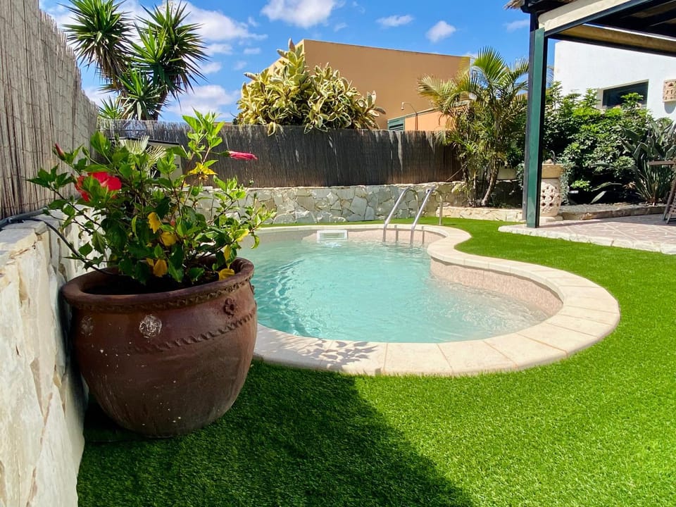 Day, Garden, Garden view, Pool view, Swimming pool