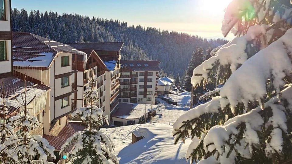 Property building, Winter, Mountain view