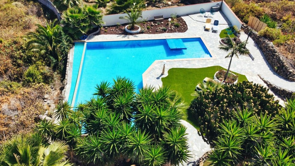 Day, Natural landscape, Garden, Garden view, Pool view, Swimming pool, Swimming pool, sunbed