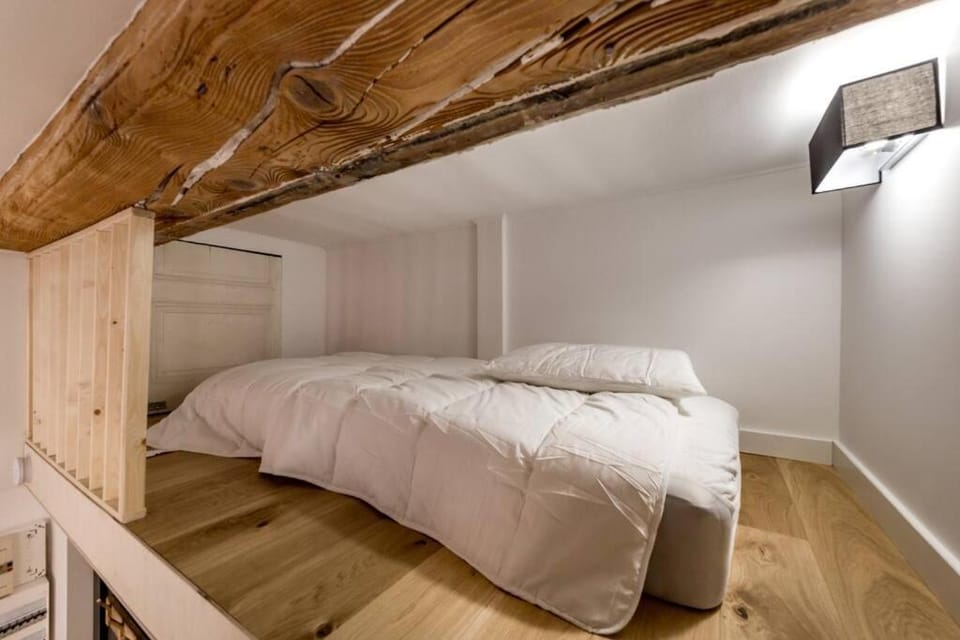 Studio proche cité internationale Apartment in Caluire-et-Cuire