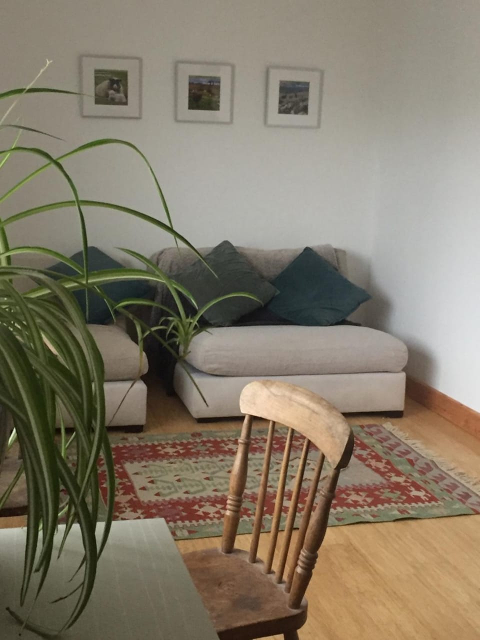 Willow Cottage, Gilchristland Organic Farm House in England