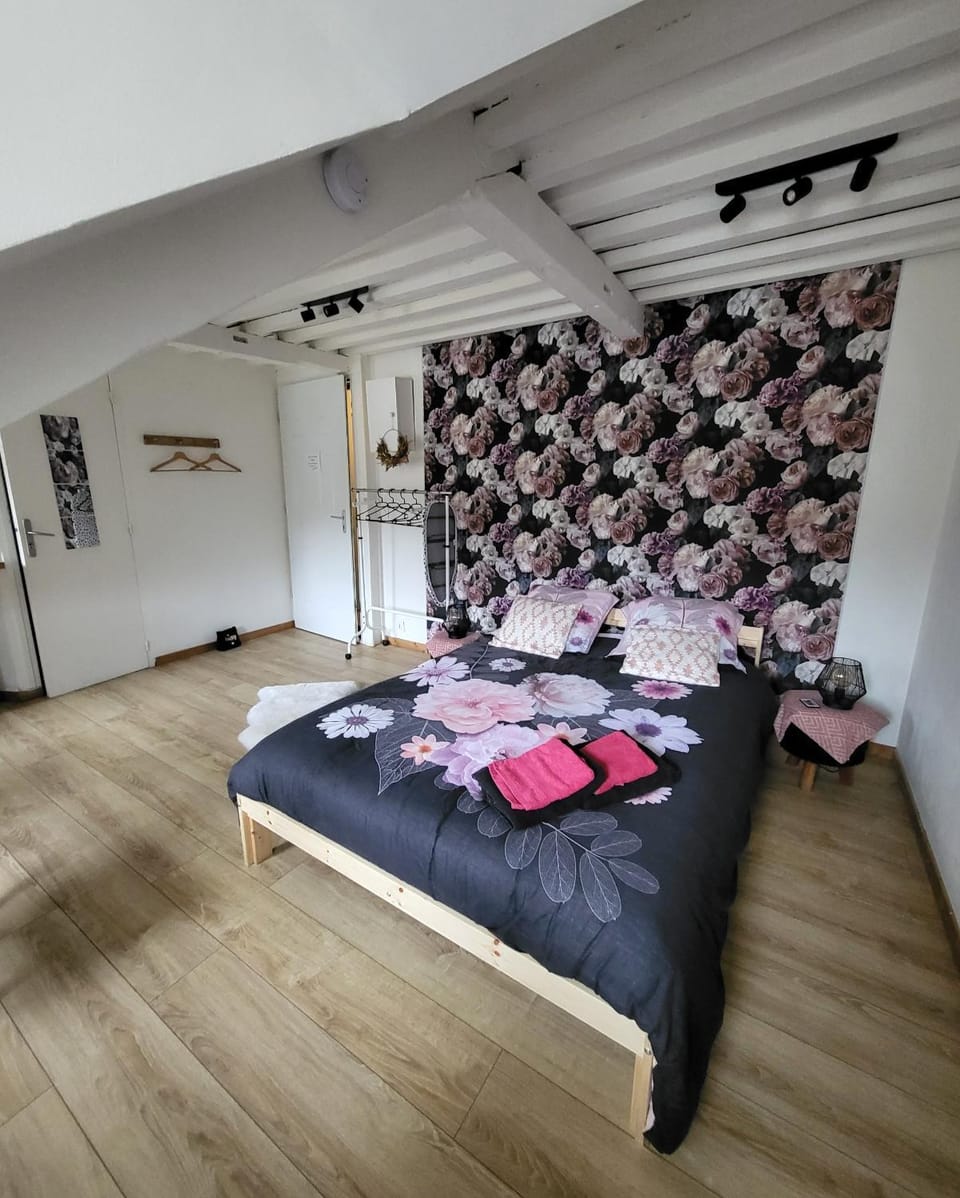 La panthère rose Apartment in Honfleur