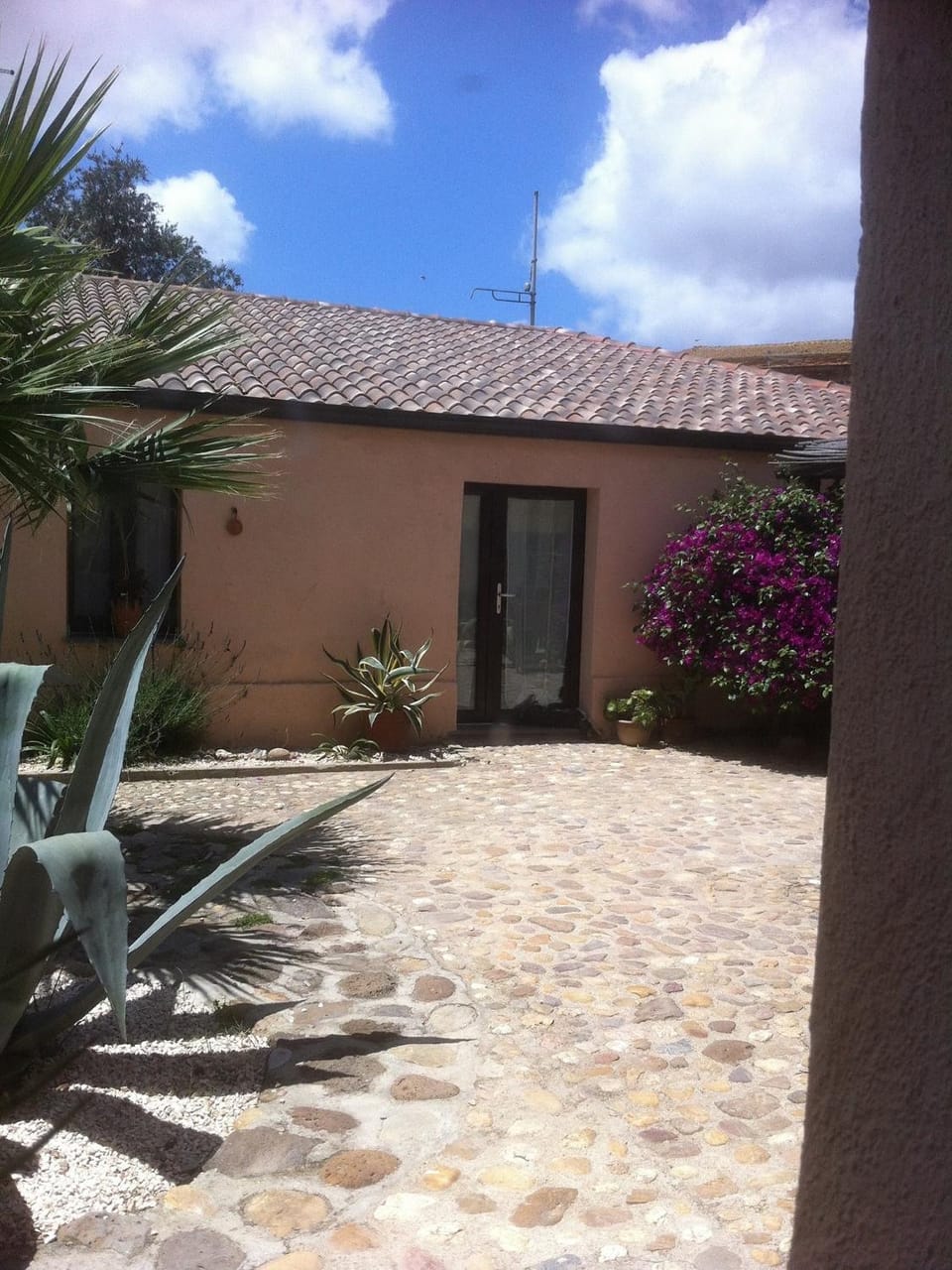 Patio, Garden