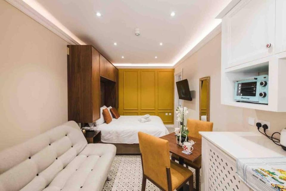 Bed, TV and multimedia, Kitchen or kitchenette, Living room, Photo of the whole room, Seating area, Bedroom, microwave