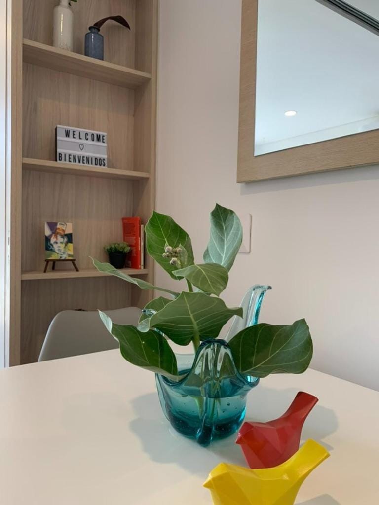 Salguero Suites Apta Suite con Piscinas Gym y Spa Apartment in Gaira