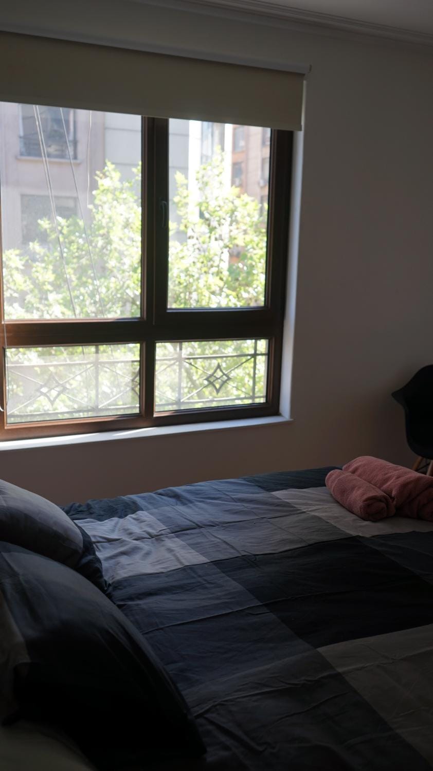 Stylish apartment dowtown 78m2 Apartment in Santiago
