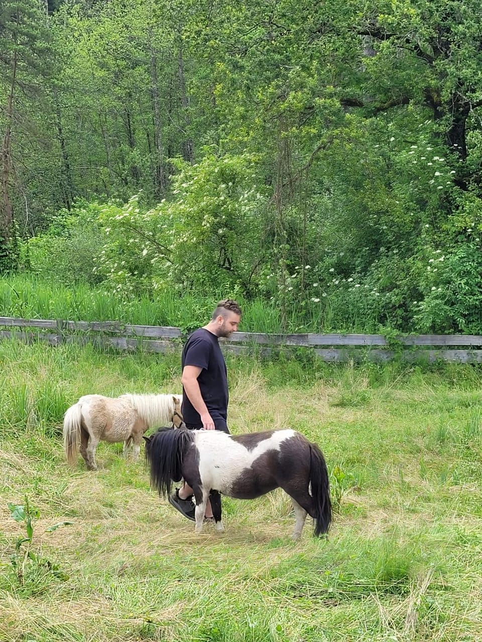 Ferienwohnung Silvia Apartment in Carinthia, Austria