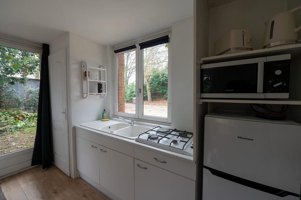 Kitchen or kitchenette, minibar