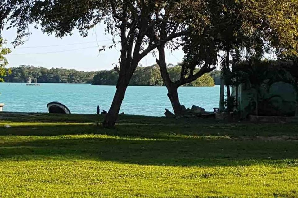 Lake view