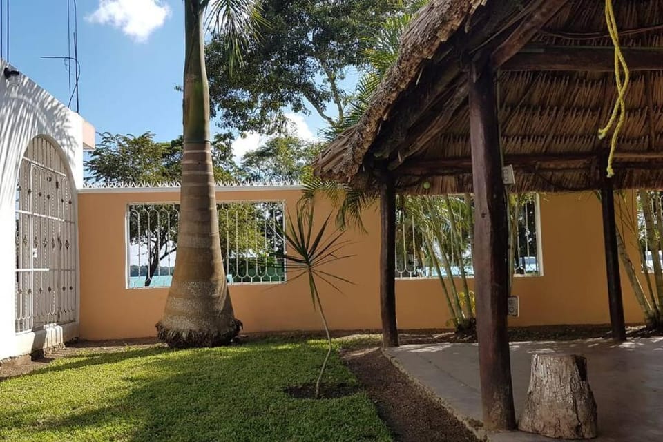 Patio, Garden, Garden view