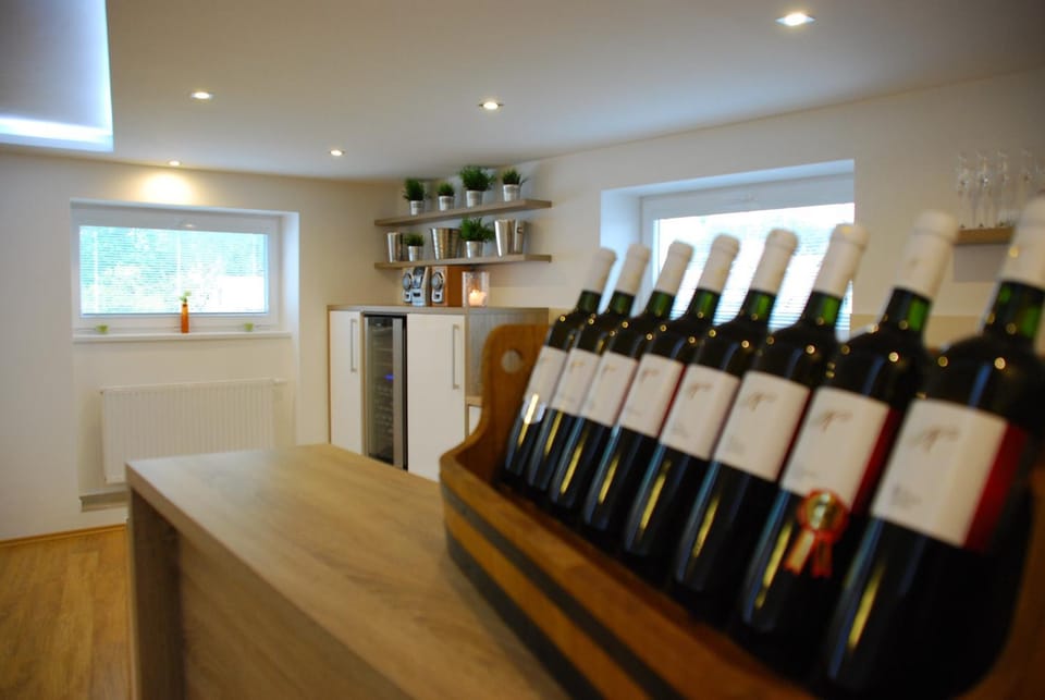 Vinařství Novotný Bed and Breakfast in South Moravian Region