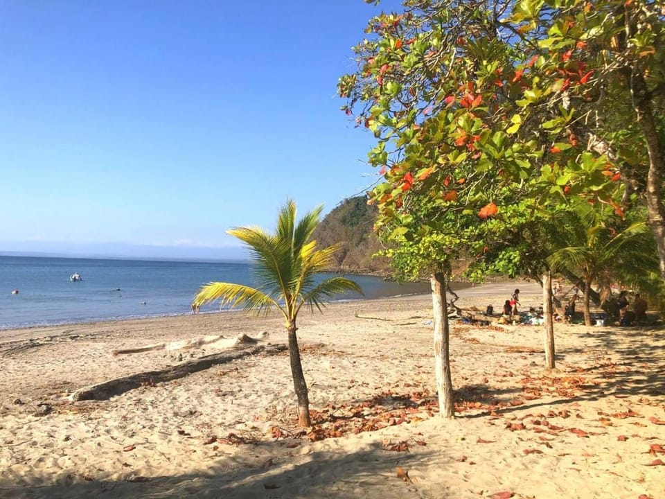 Other, Beach, Area and facilities