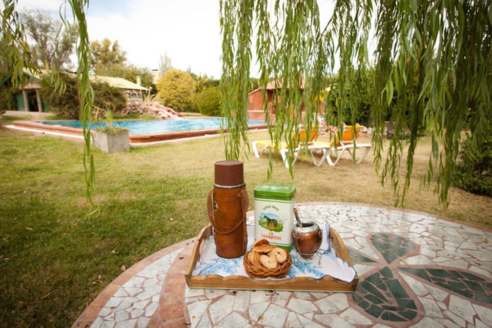 Day, Garden, Food, Breakfast