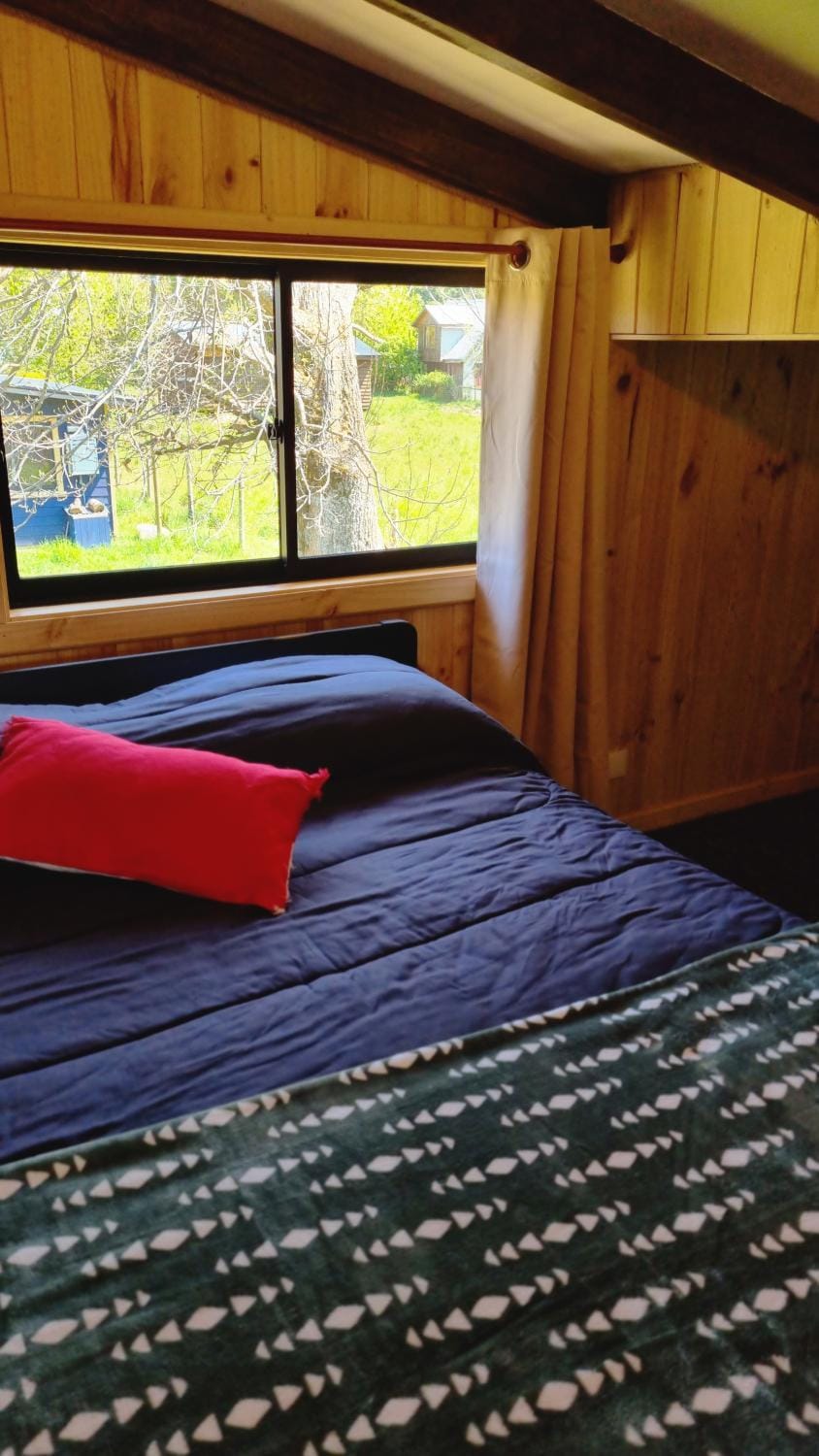Bed, Photo of the whole room