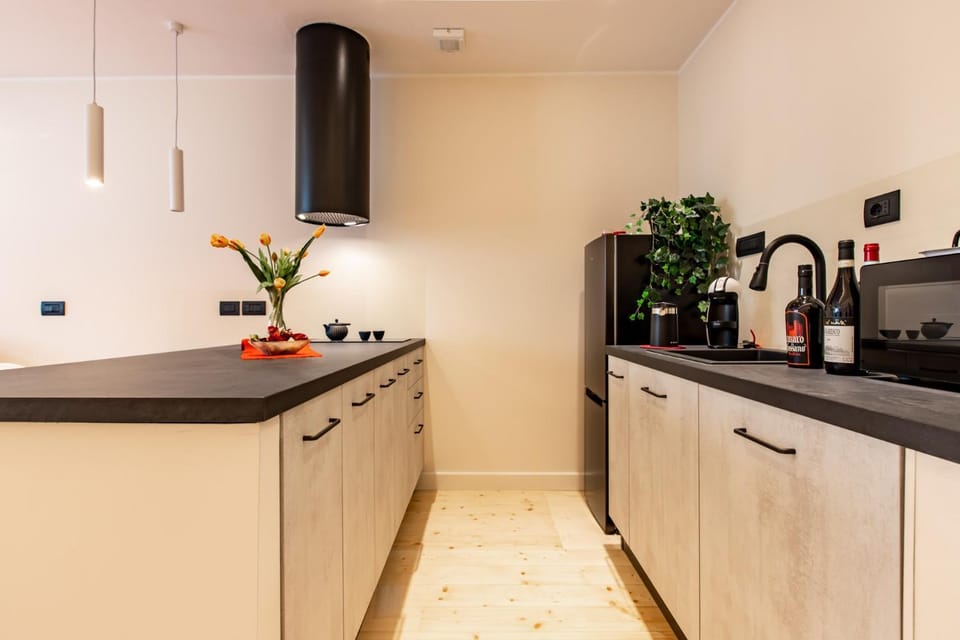 Coffee/tea facilities, Kitchen or kitchenette, minibar, stove