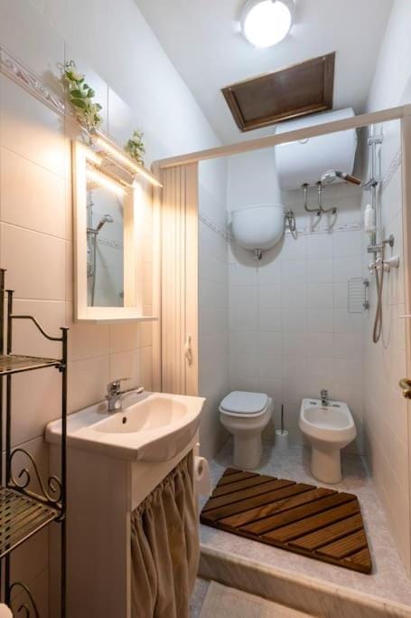 Shower, Toilet, Bathroom, bidet