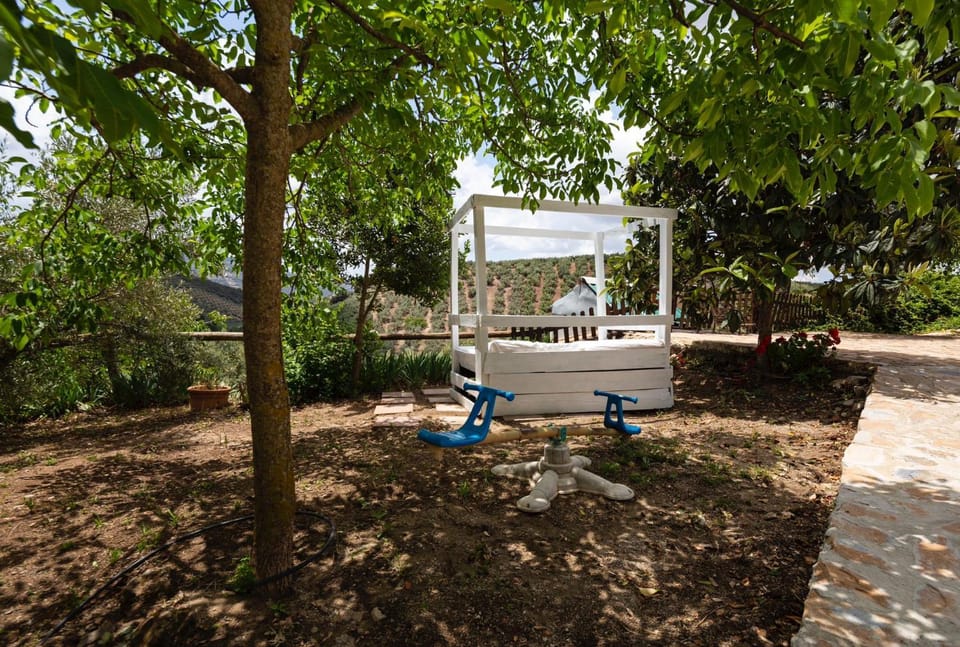Children play ground, Garden