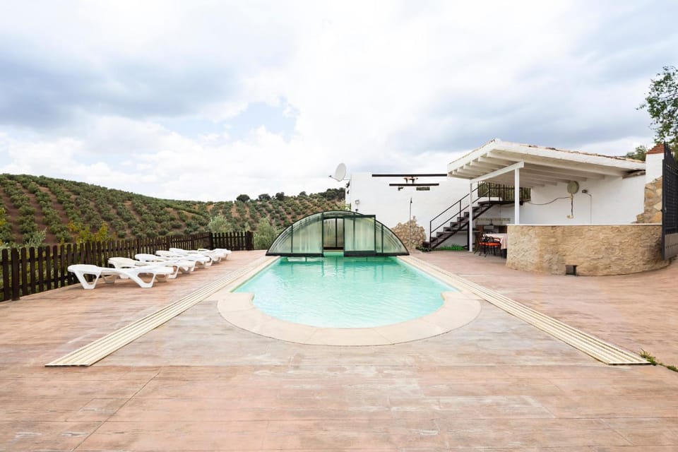 Swimming pool, sunbed