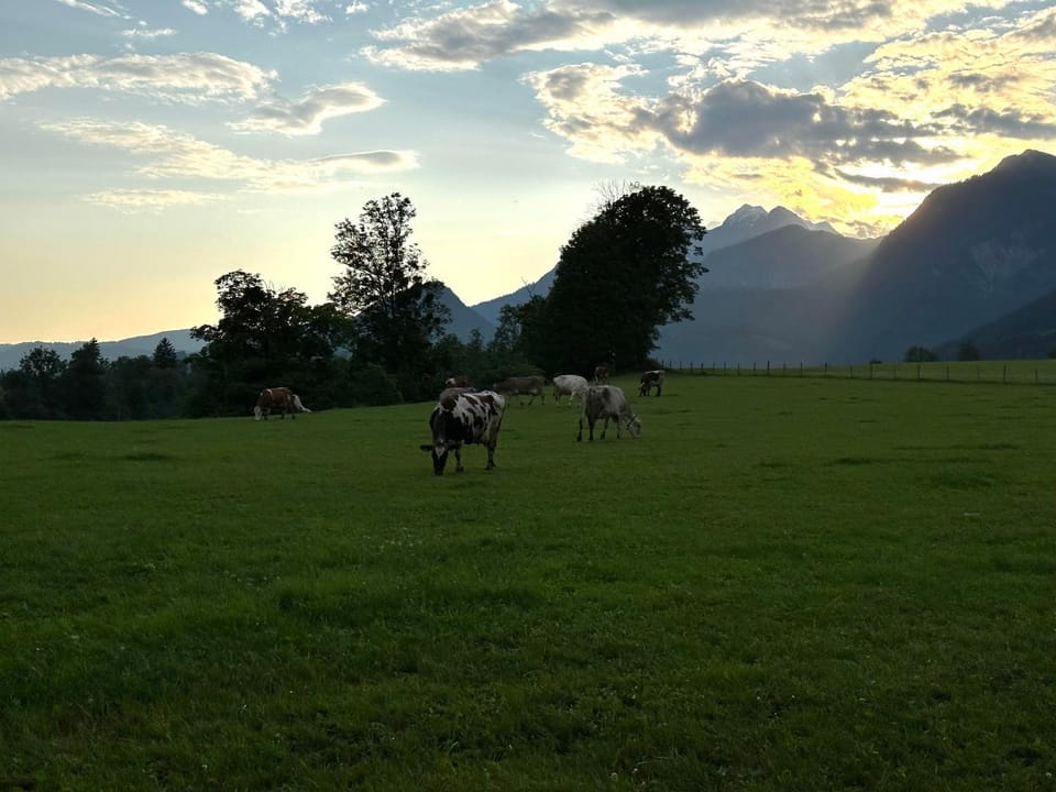Natural landscape, Animals, Mountain view