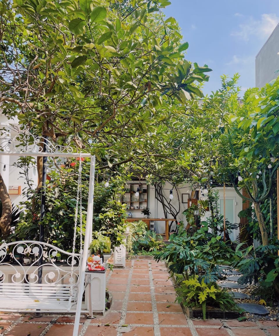 Patio, Day, Garden