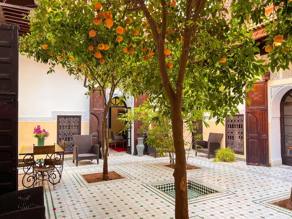 Patio, Garden, Seating area, Inner courtyard view