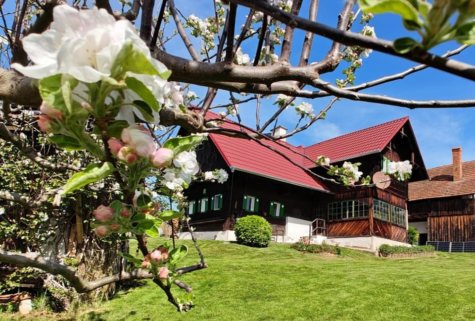 Property building, Day, Garden view