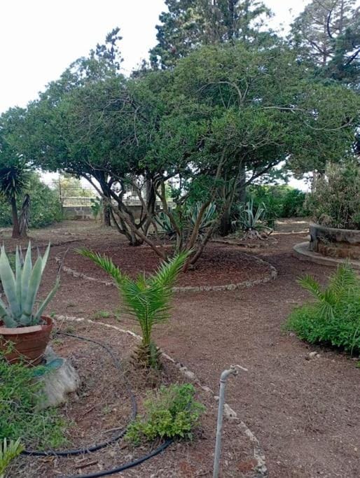 Villa Muia-Appartamento con giardino Apartment in Apulia