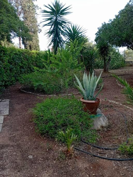 Villa Muia-Appartamento con giardino Apartment in Apulia