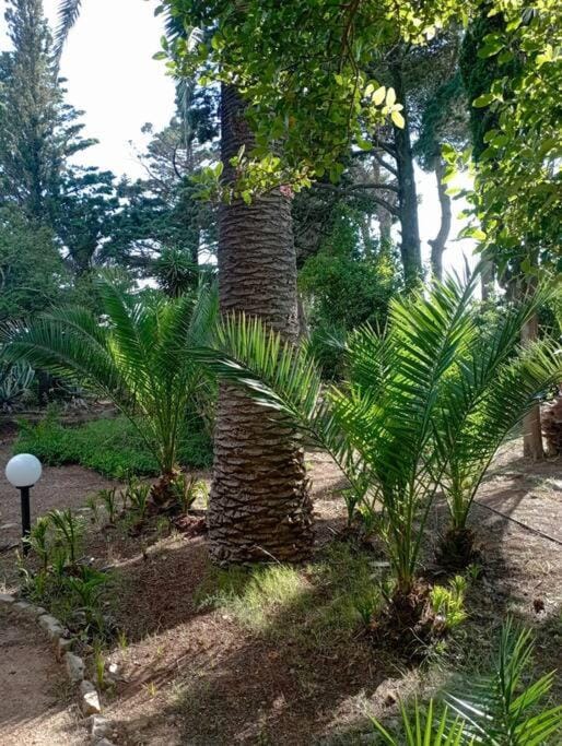 Villa Muia-Appartamento con giardino Apartment in Apulia