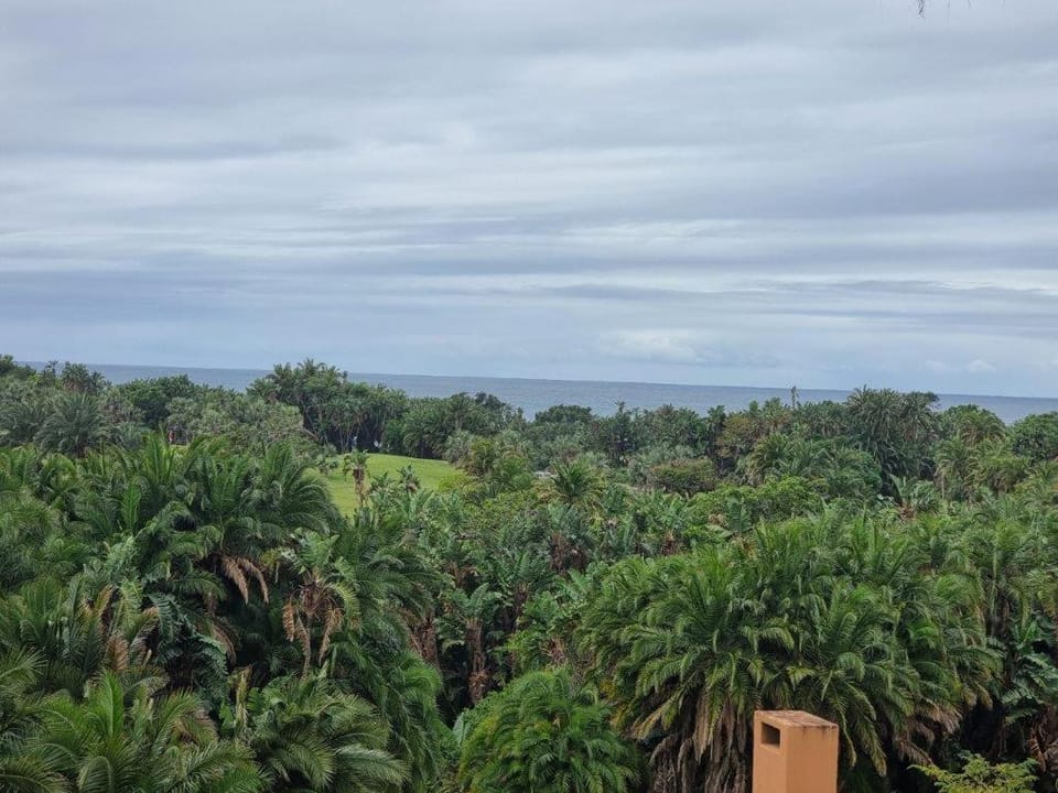Natural landscape, View (from property/room)