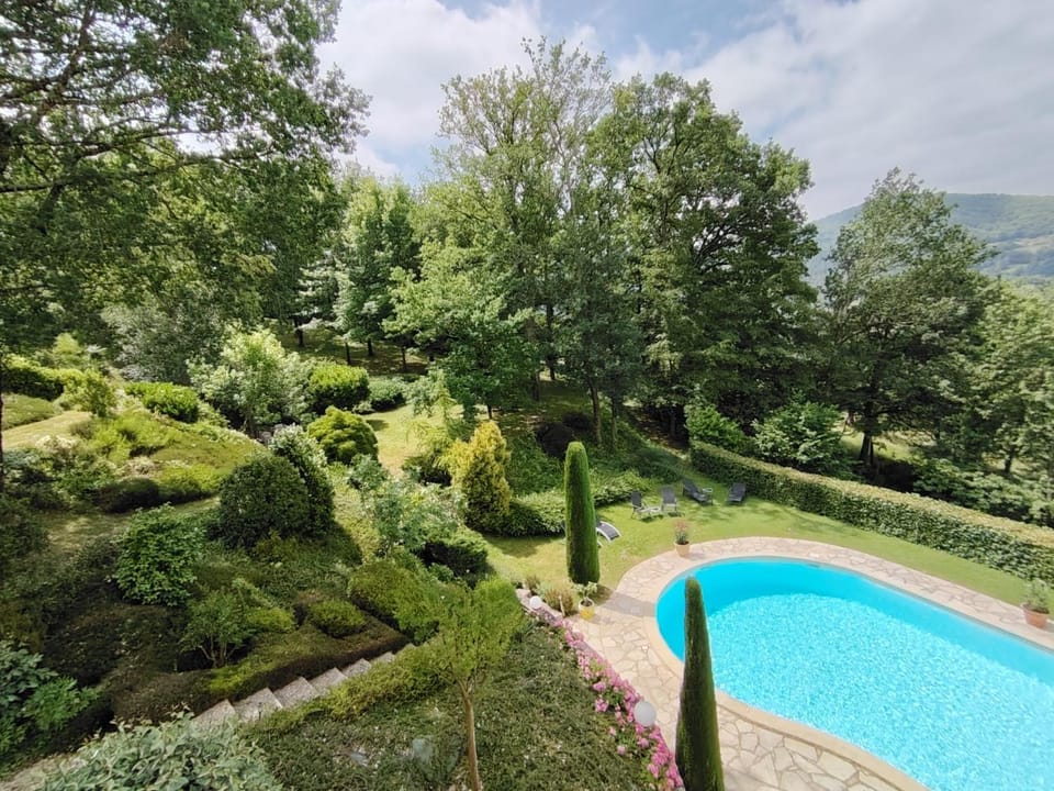 Natural landscape, Garden, Garden view, Swimming pool