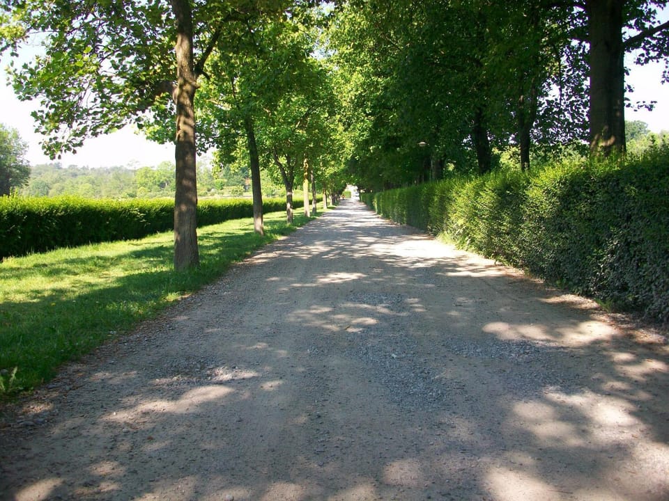On site, Street view