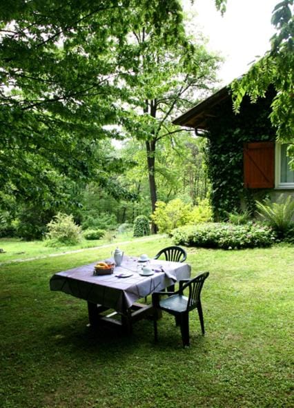 Spring, Day, Garden, Garden view