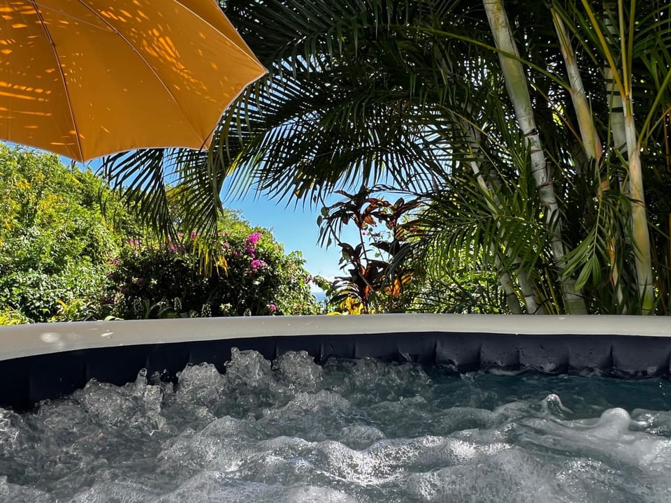 Hot Tub, Spa and wellness centre/facilities