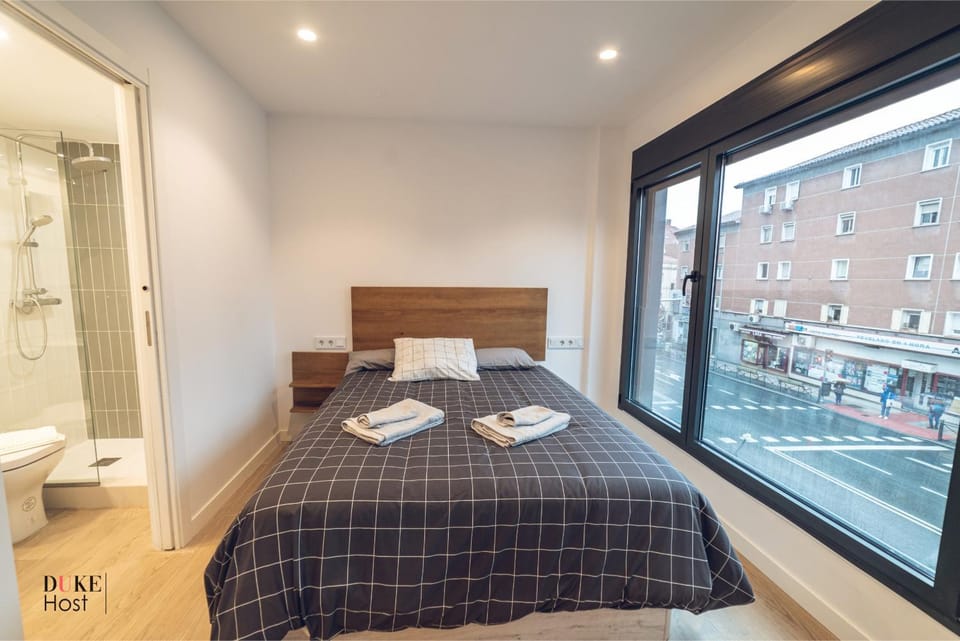 CASTILLA LUXURY A Apartments Apartment in Madrid