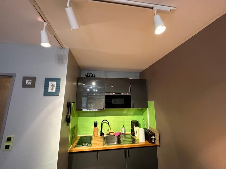 Studio situé au pied des pistes de LaBresse Apartment in La Bresse