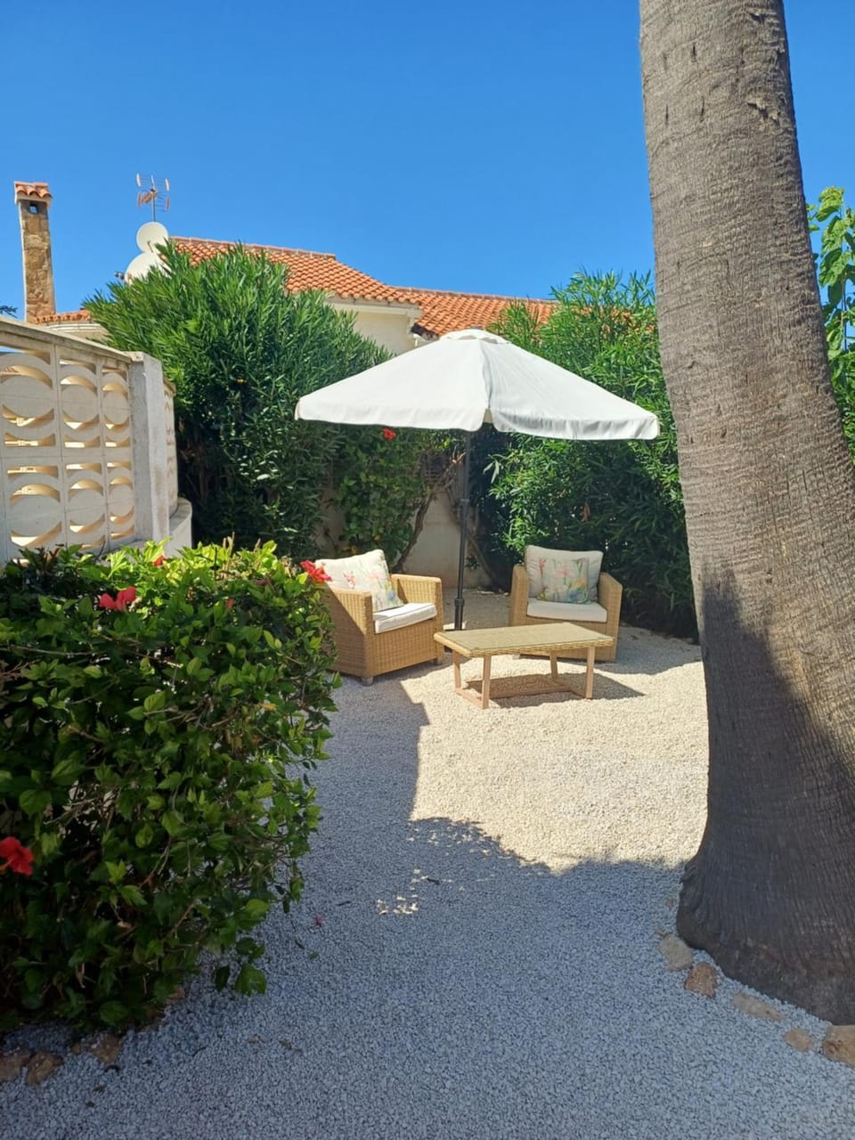 Patio, Garden