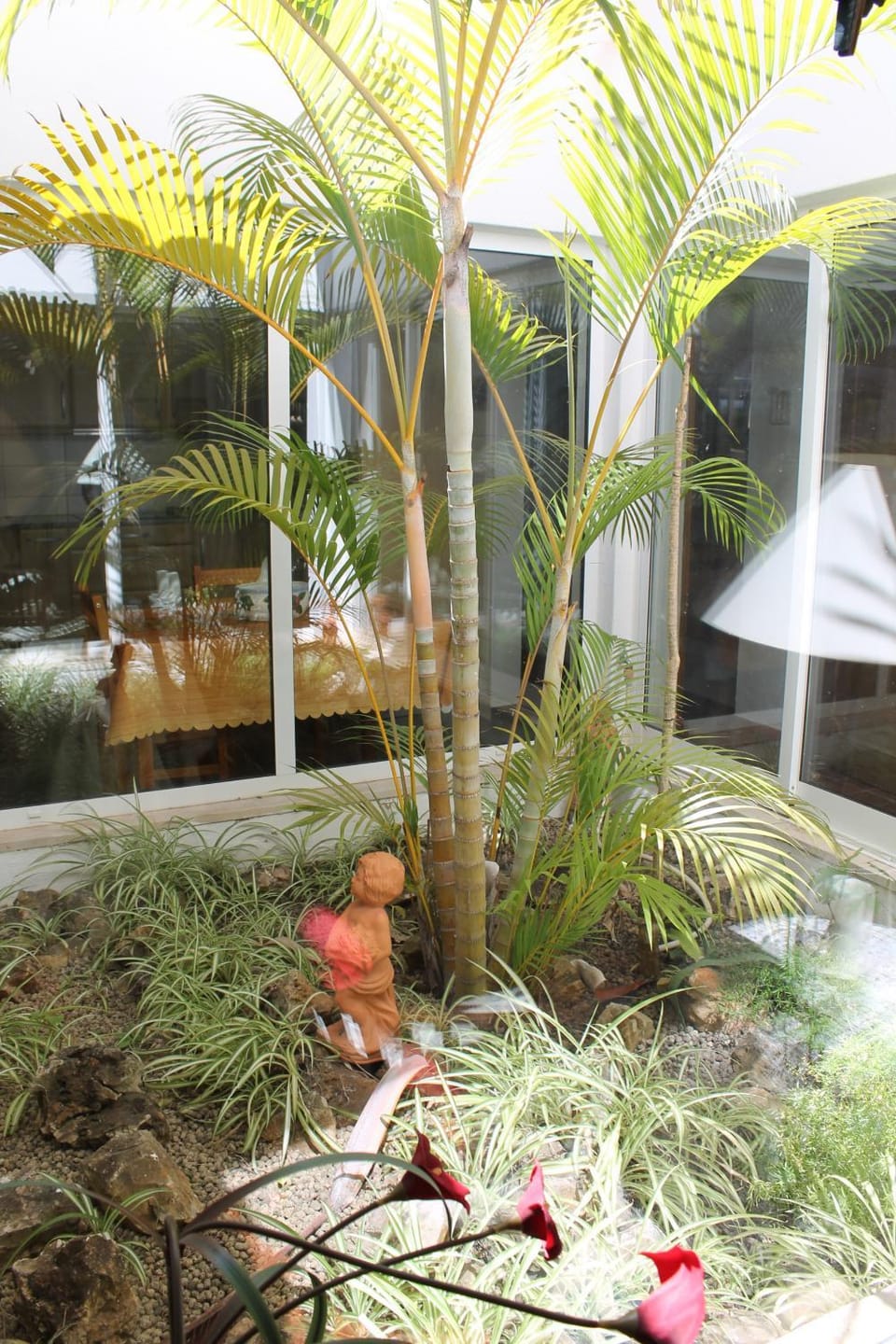 Patio, Garden, Garden view
