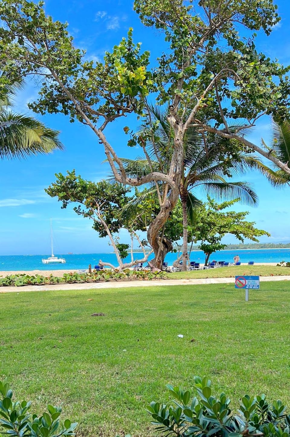 Property building, Garden, Beach, Garden view, Sea view