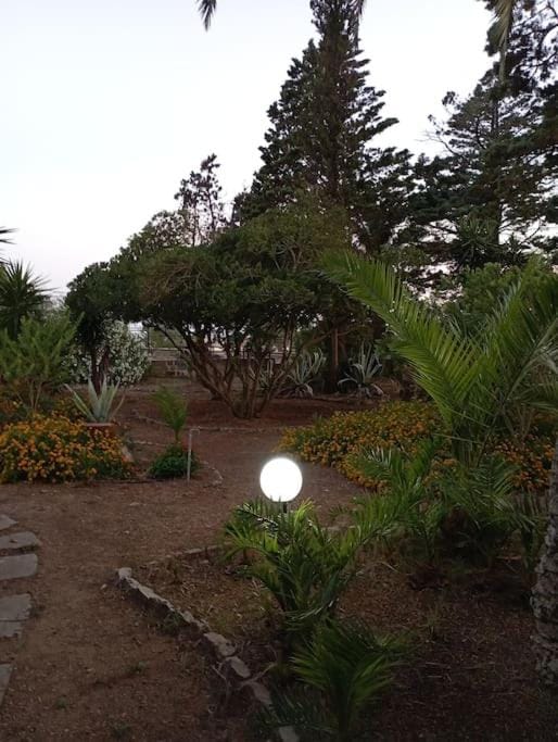Villa Muia-Appartamento con ampio terrazzo Apartment in Apulia