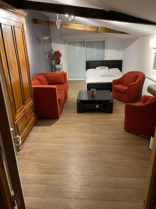 Rez de maison jardin appart Apartment in Auvergne-Rhône-Alpes