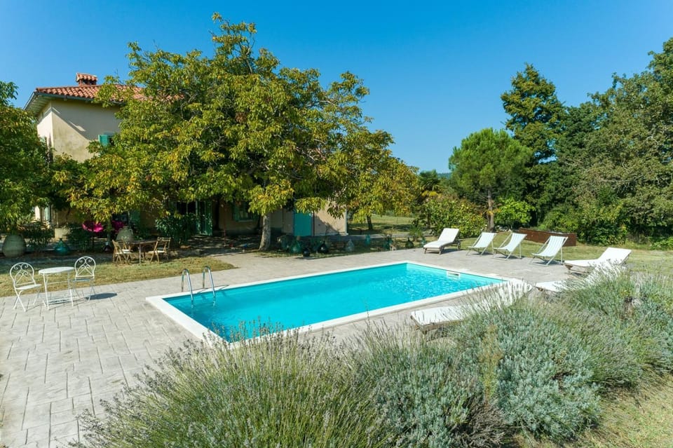 Property building, Garden, Swimming pool