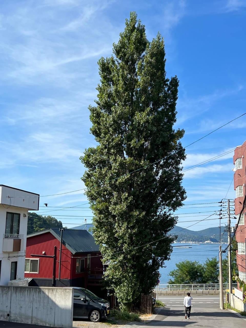 Populus-club Otaru - Vacation STAY 93686v Bed and Breakfast in Sapporo