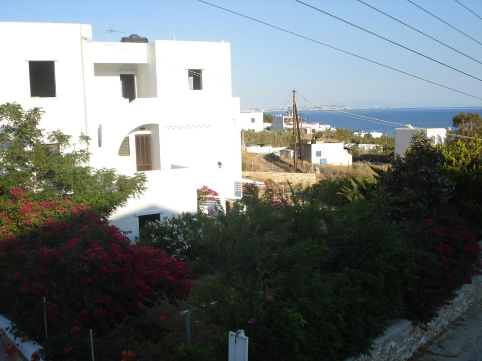 Facade/entrance, Garden