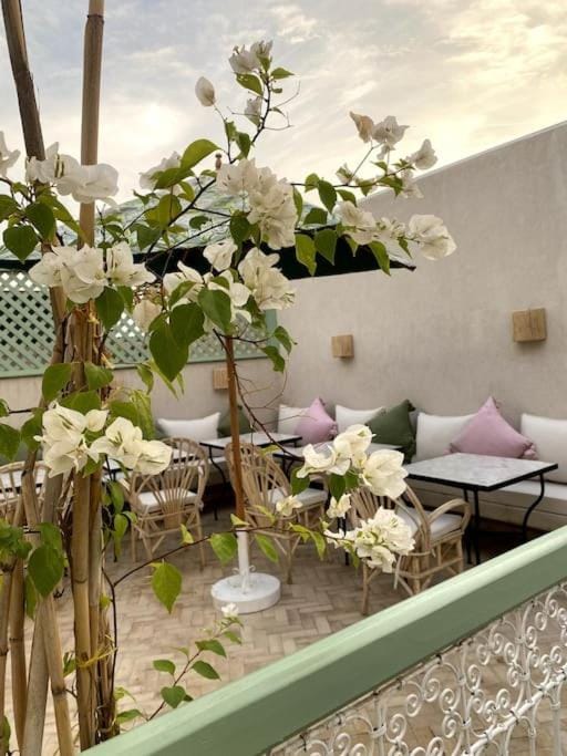 Patio, Spring, Day, Garden, View (from property/room), Balcony/Terrace, Living room, Seating area, Garden view