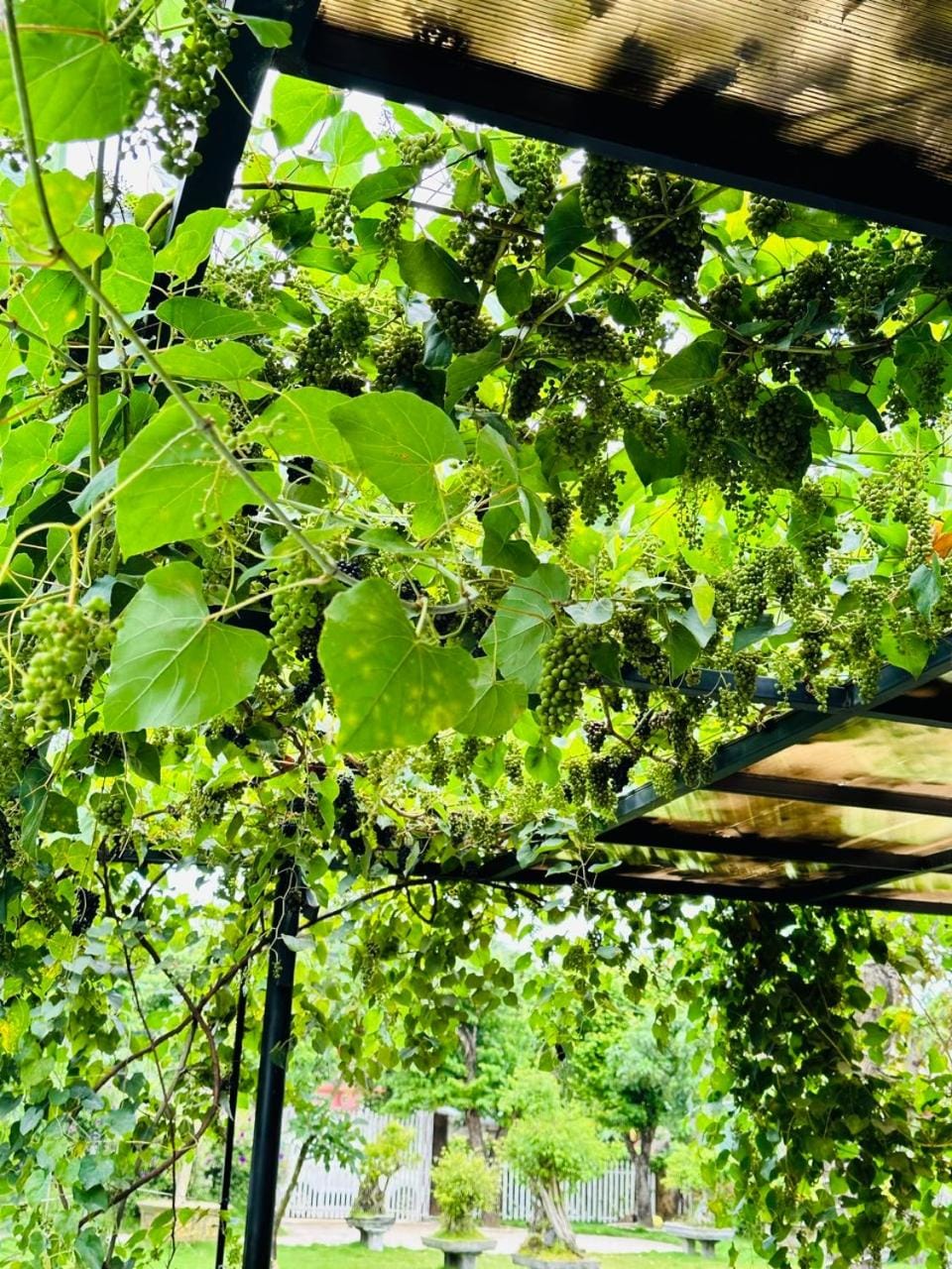 Homestay Highland Garden House in Vietnam