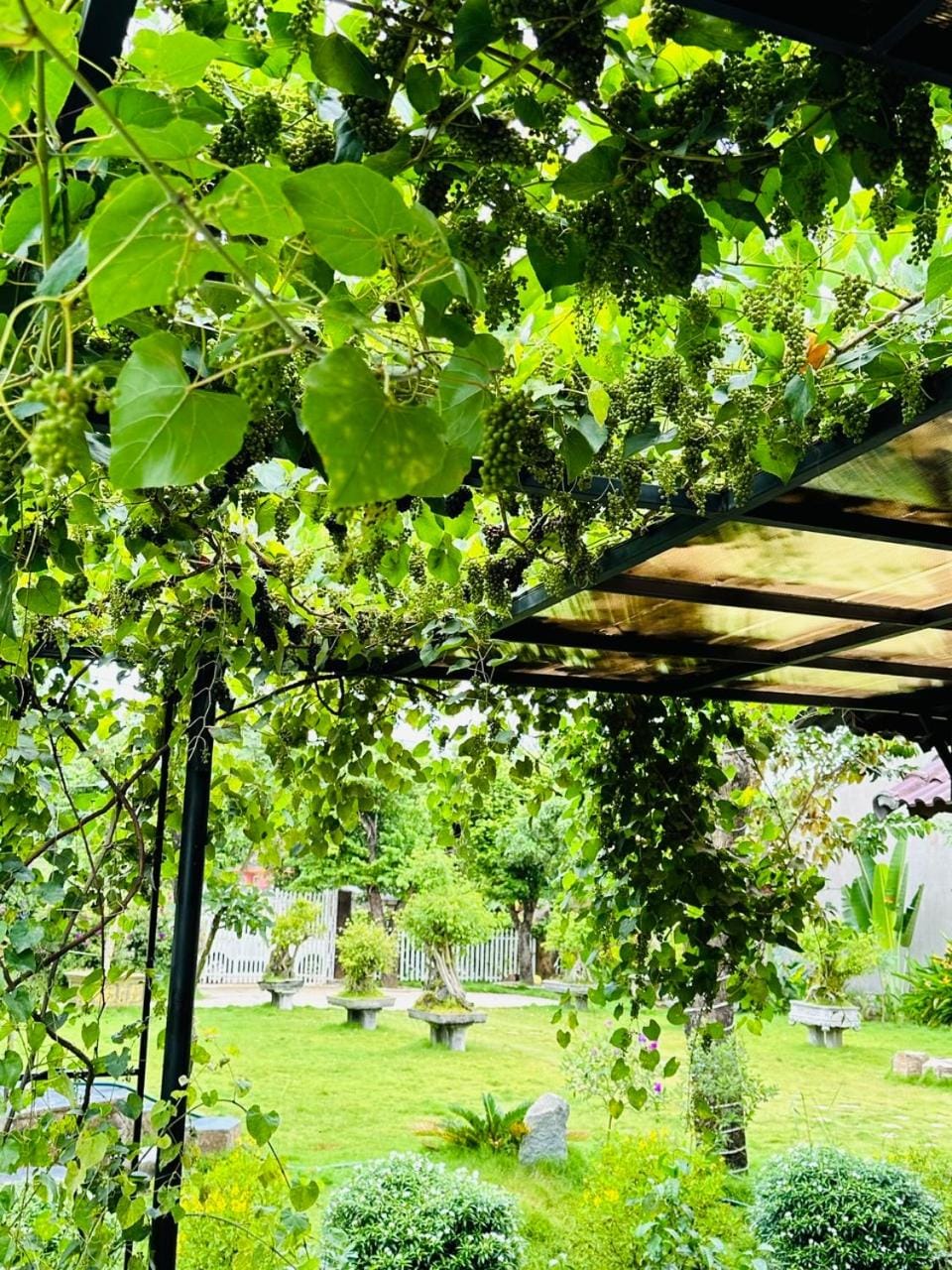 Homestay Highland Garden House in Vietnam