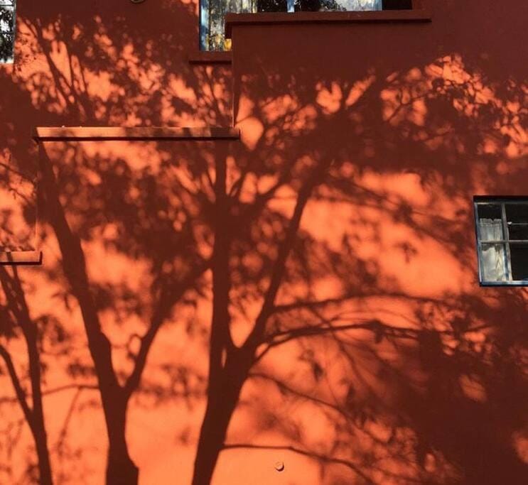 Day