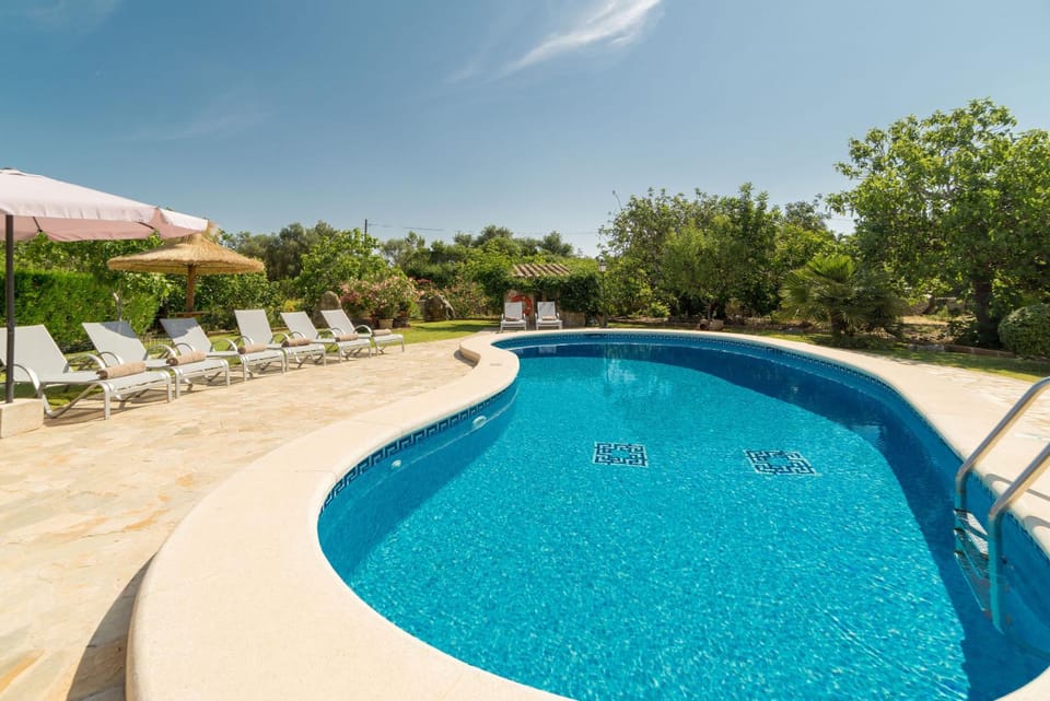 Swimming pool, sunbed